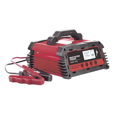 Cargador de Baterías / 12 o 24 Vcc / 25 A / Hasta 250 Ah / Display LCD / Entrada Universal AC 110-220 V