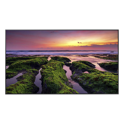 Pantalla LED Profesional / 65 Pulgadas / UHD 4K 3840x2160 / Operación 16/7 / Wi-Fi Dual Band / Bocinas 10 W / VESA 400x300 mm
